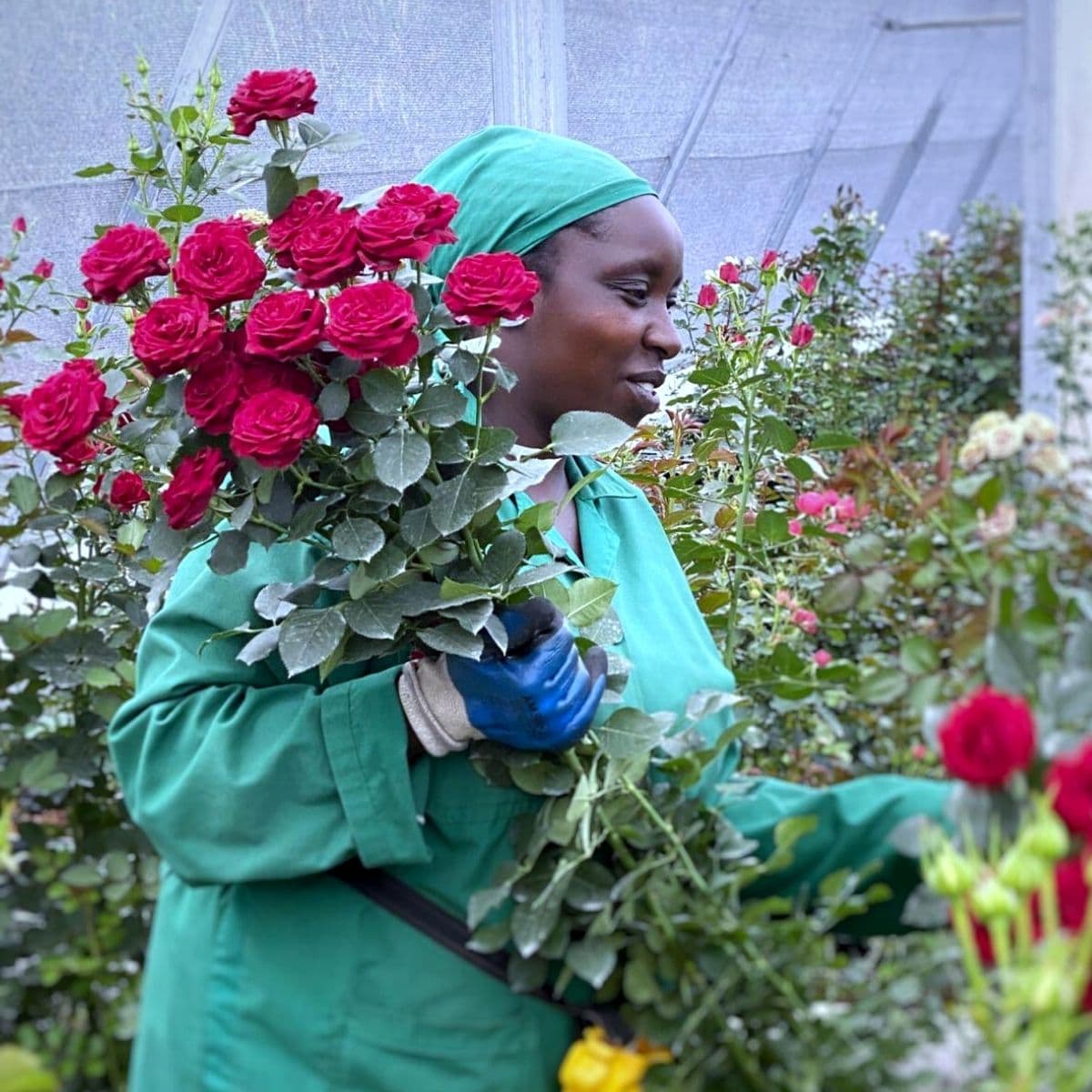 Kenyan Rose Bouquet